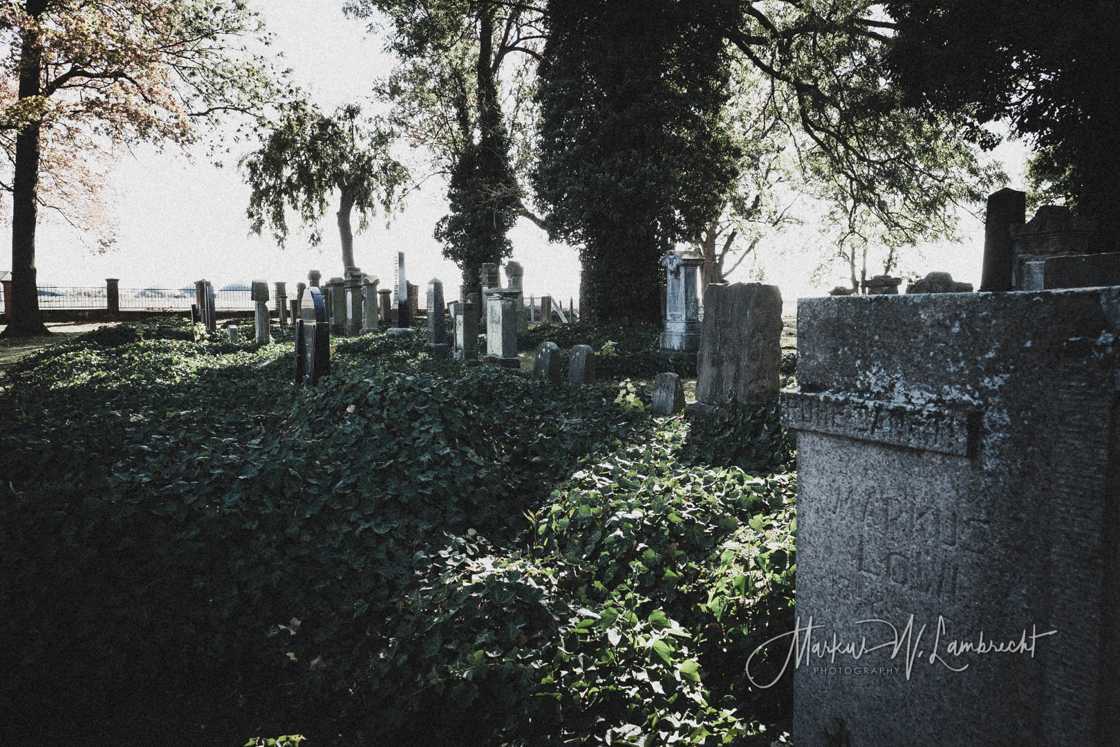 Peckelsheim, Jüdischer Friedhof
